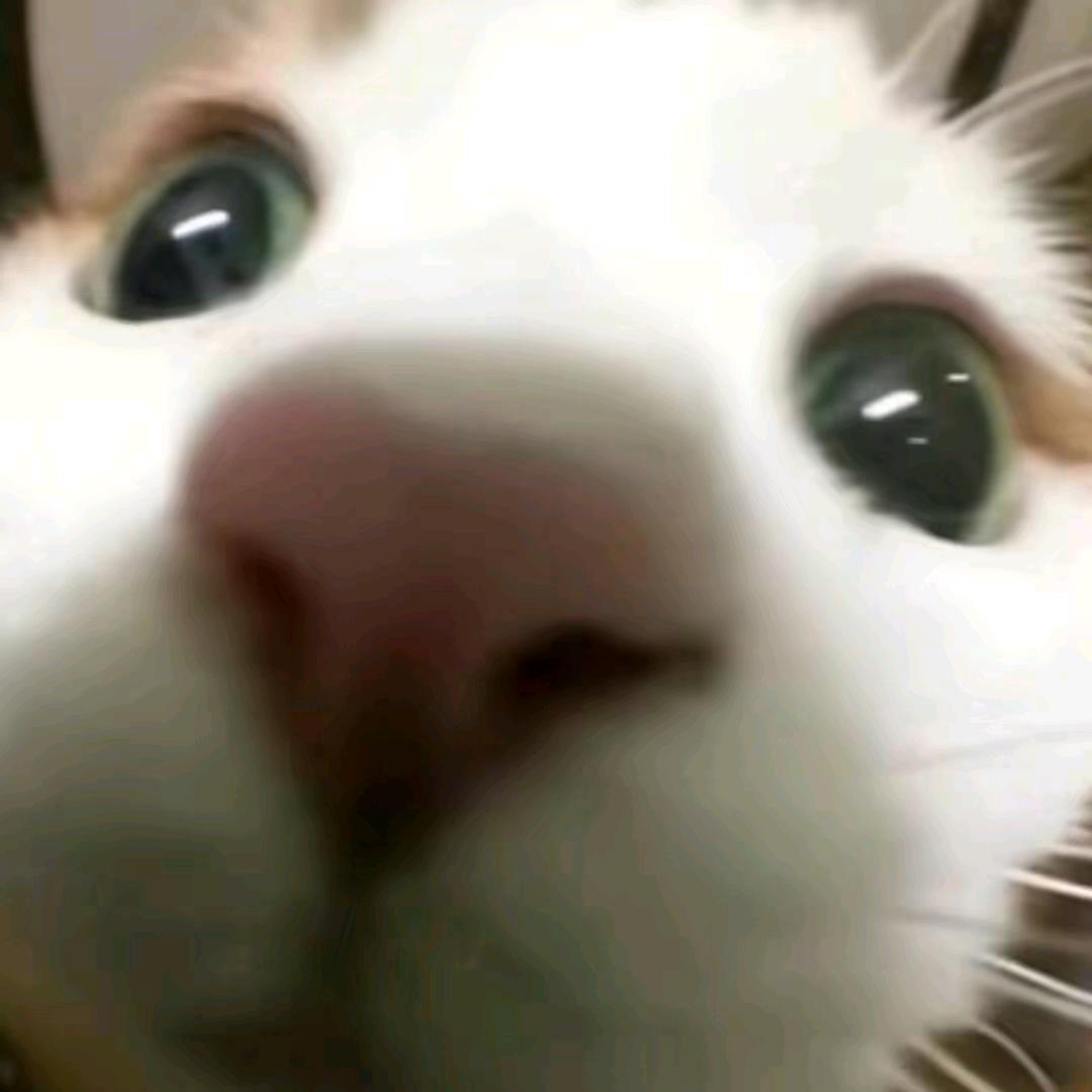 比奇堡名媛