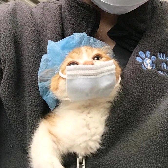 多喝阿萨姆.