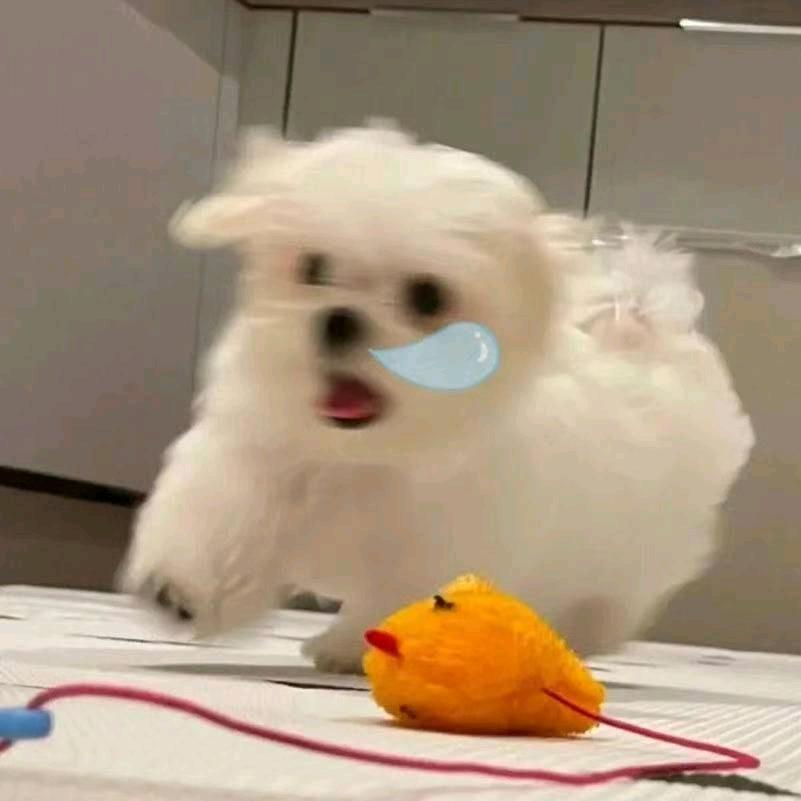 時肆.