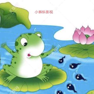 ✨小蝌蚪✨