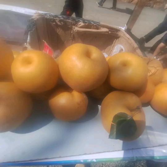 关岭阿彪食品好货店