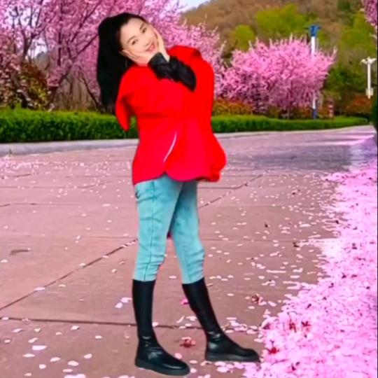💃姐、独霸后宫