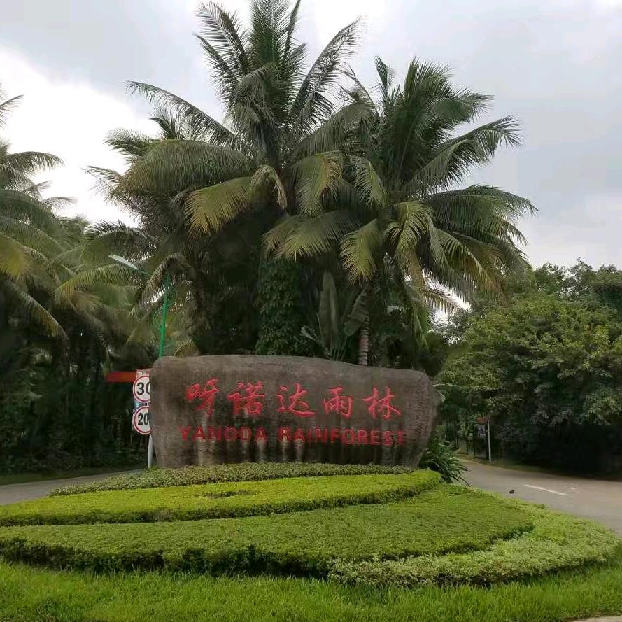 河南军哥🌴
