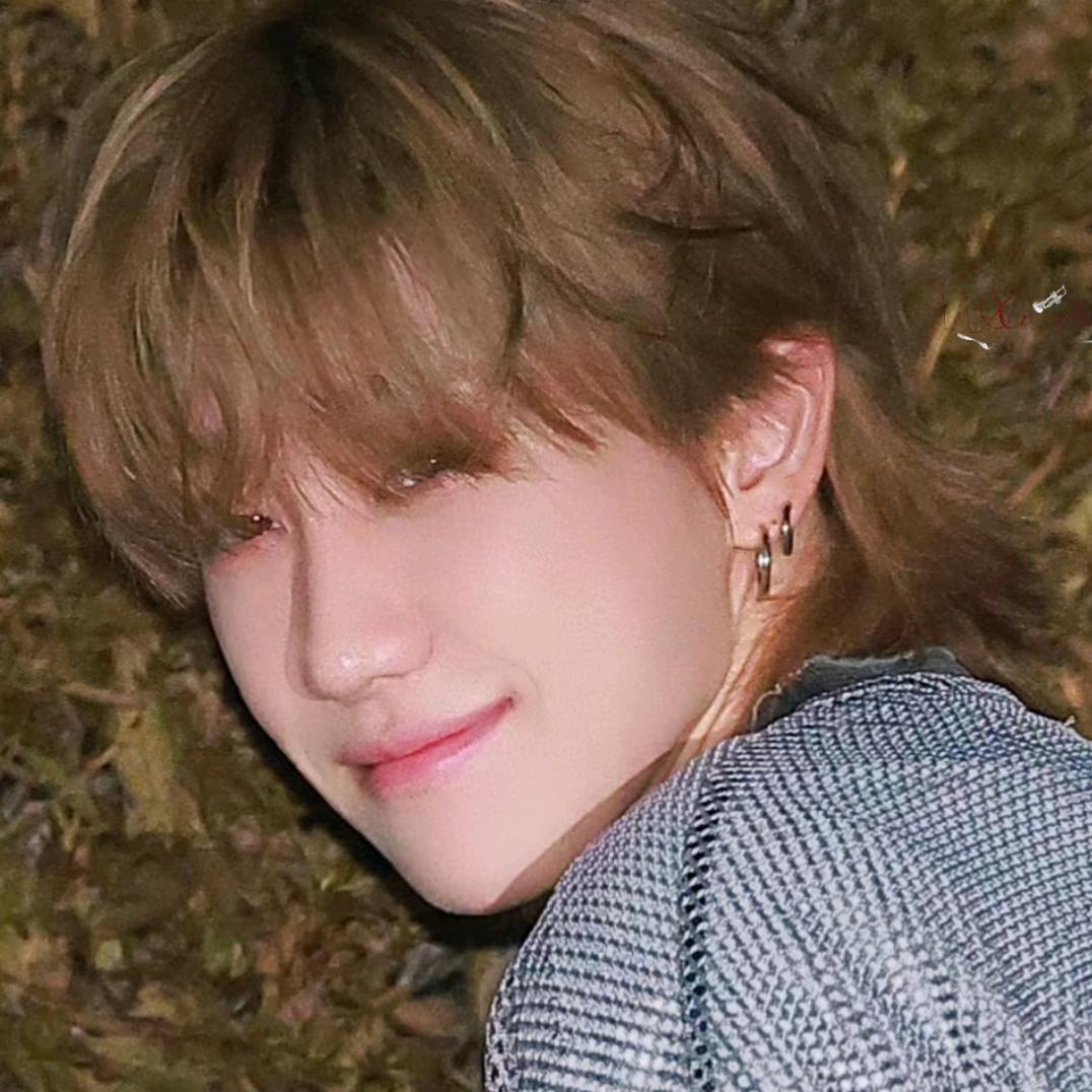 葵是向日葵的葵