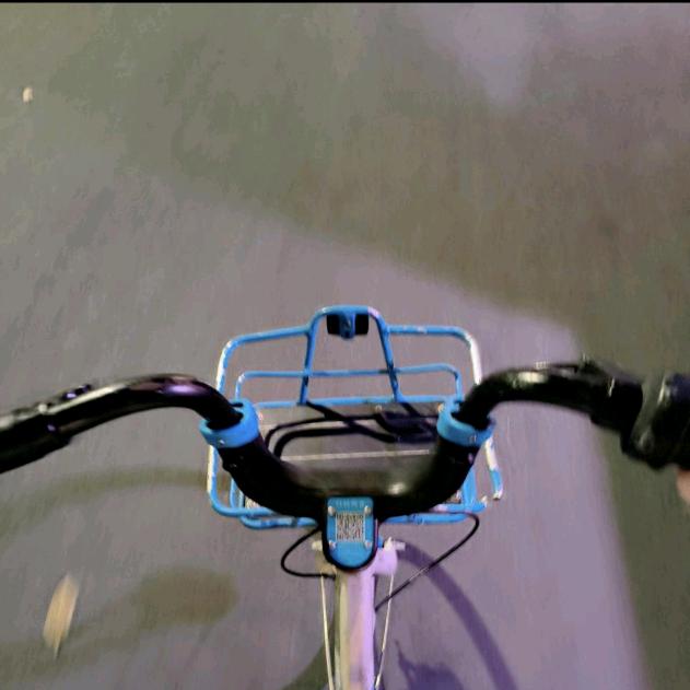诗雨🌺