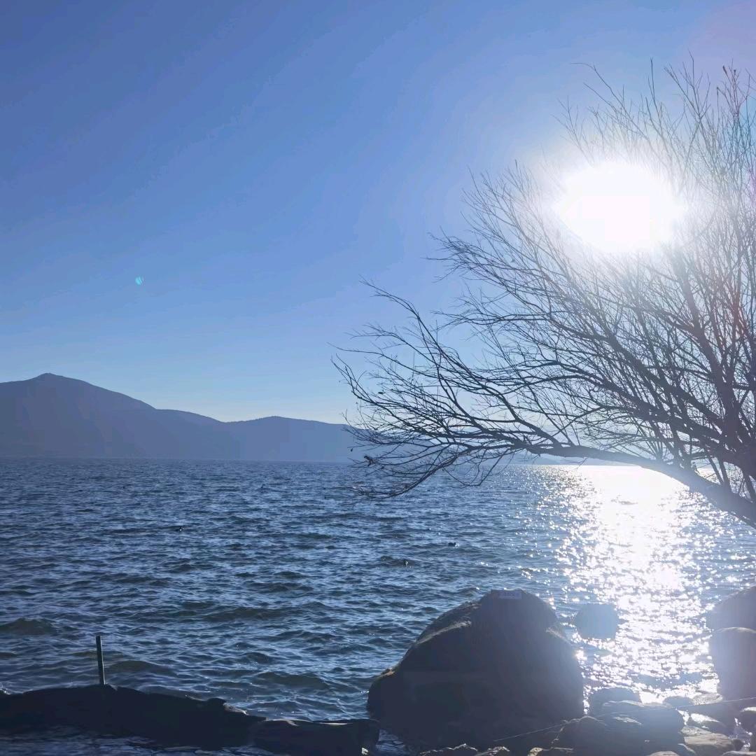 莫陌默沫