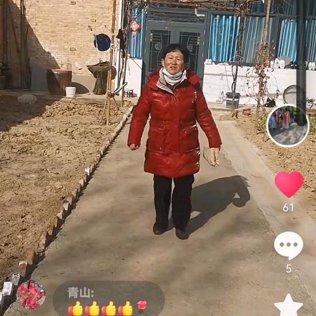 赵岁教