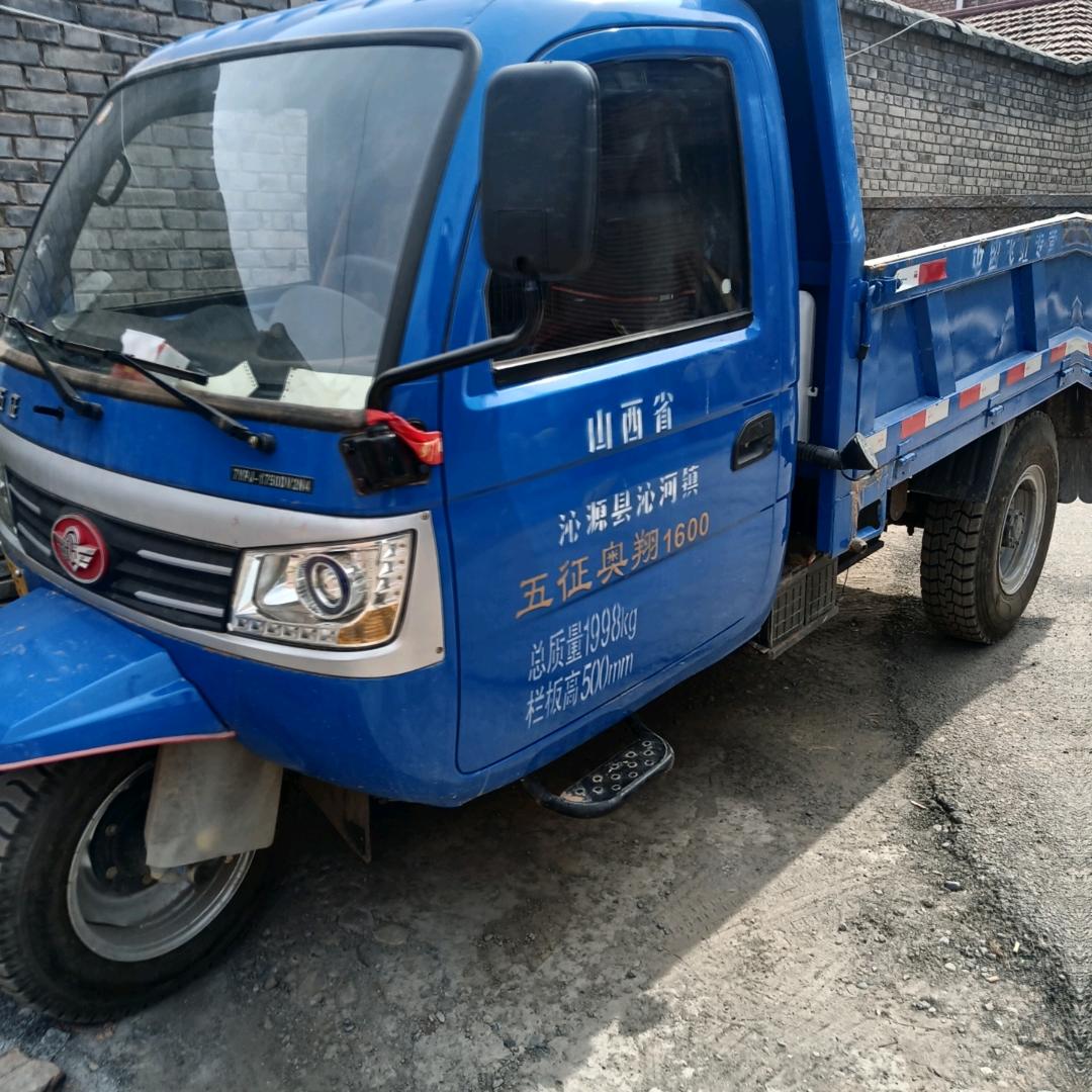 虎
