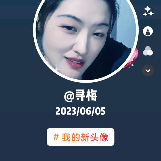 寻梅