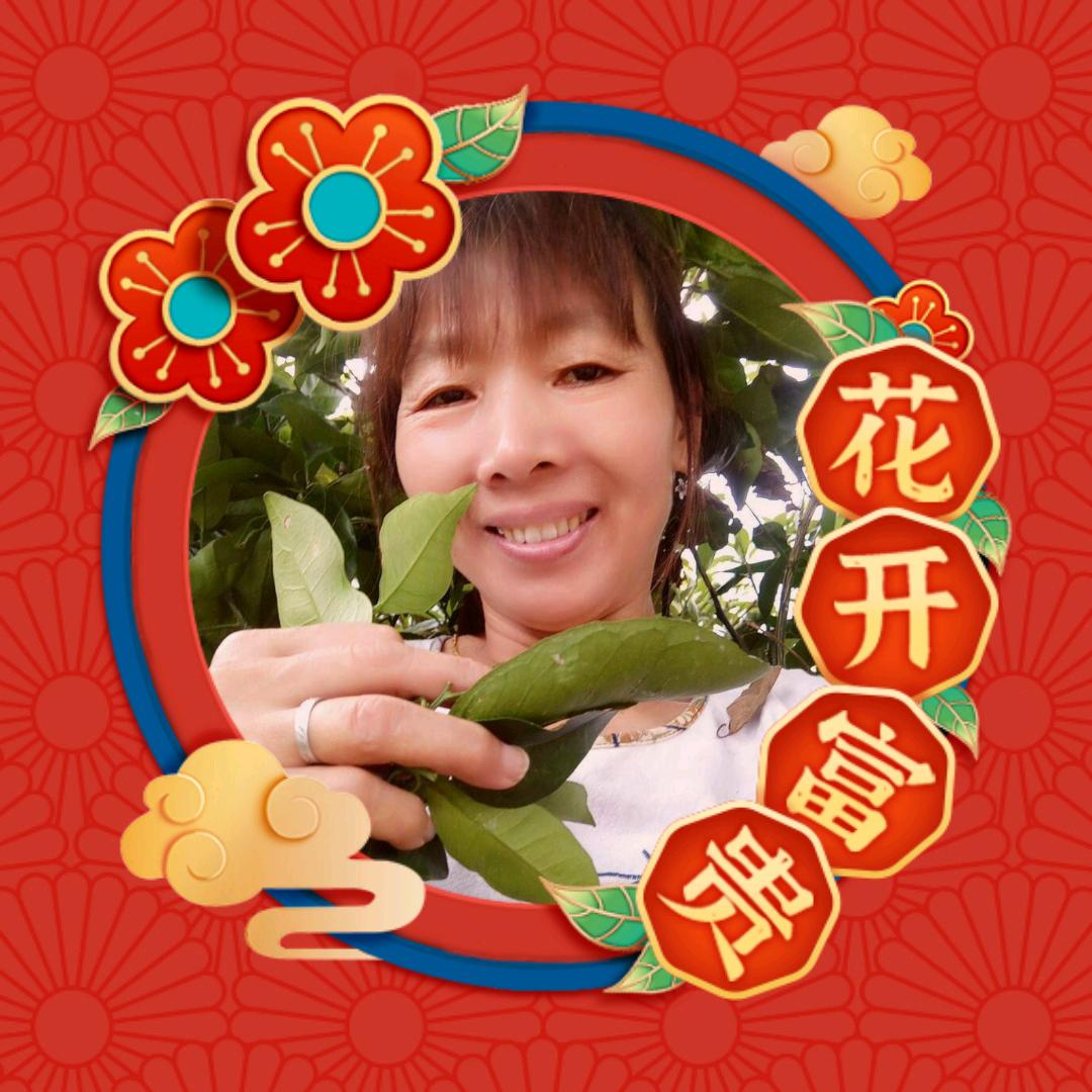 农村邓姐