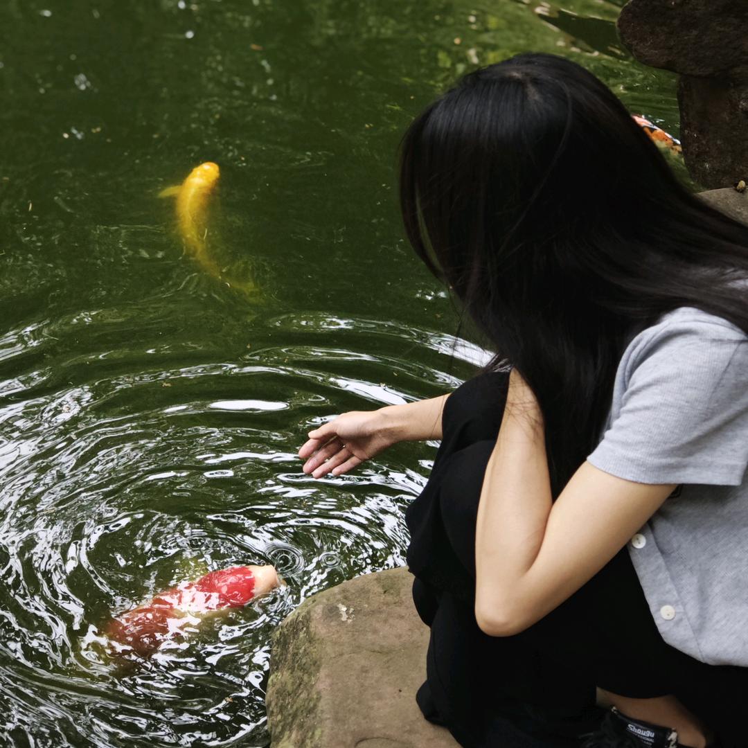 魏羊羊.