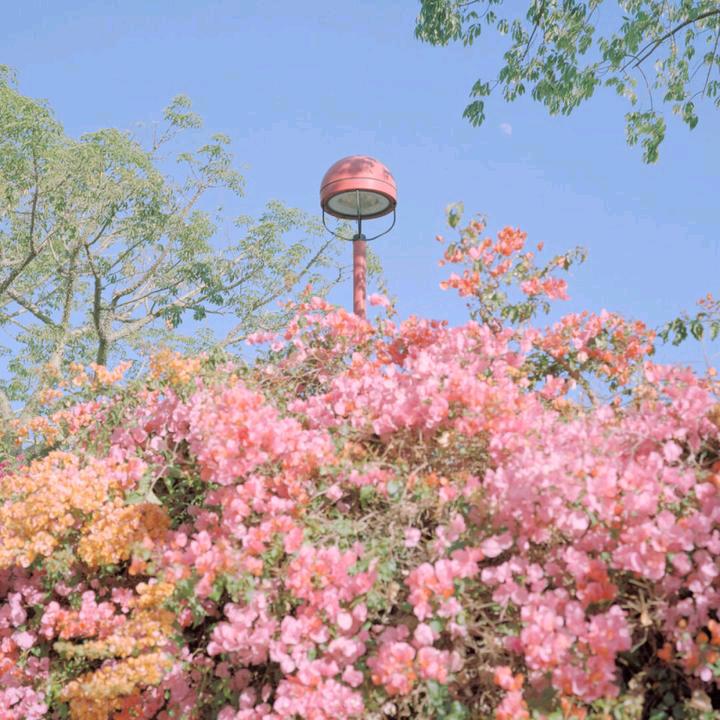 ＂往后余生”