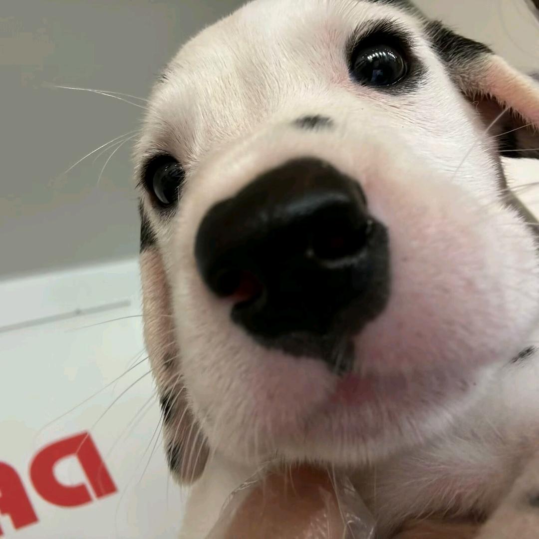 coolcoolyuan