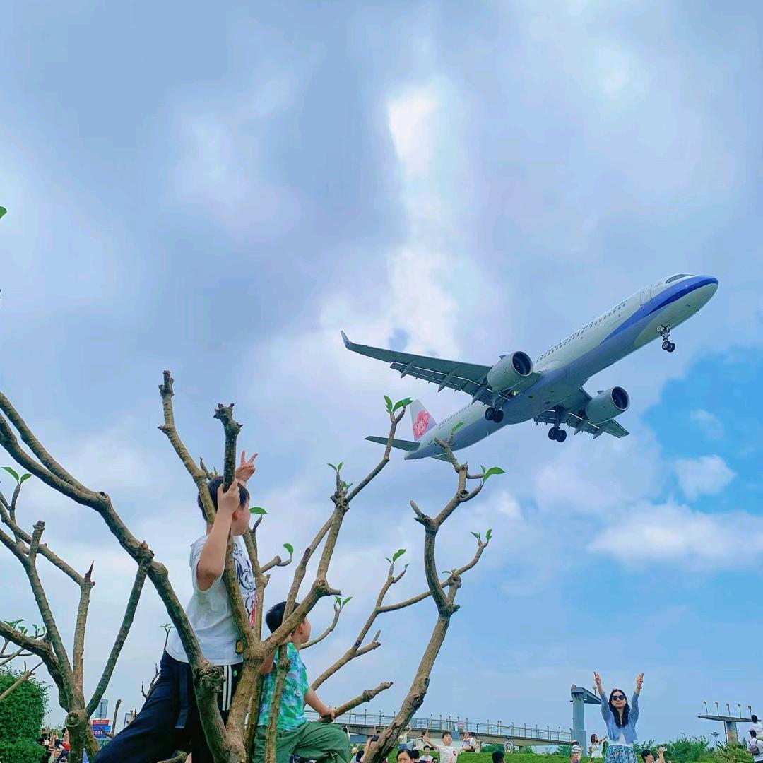 百香果
