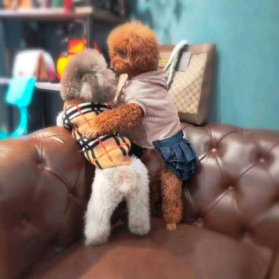 @²º²⁵༼ཽ༉ꫛ普通人এۣ࿐: