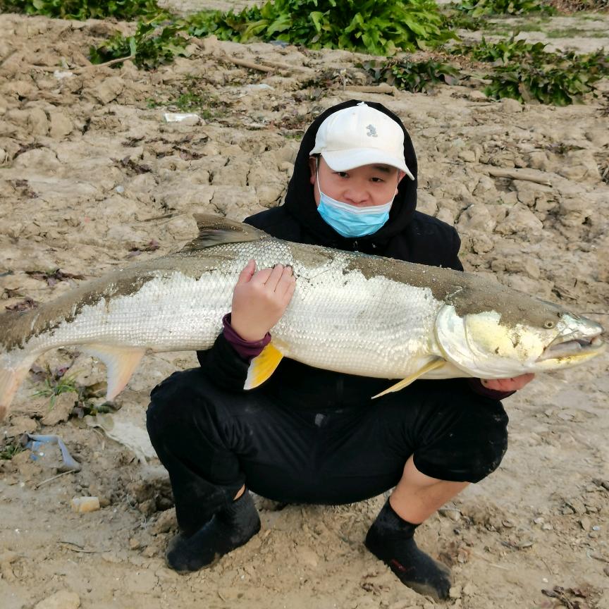 鳜闲人