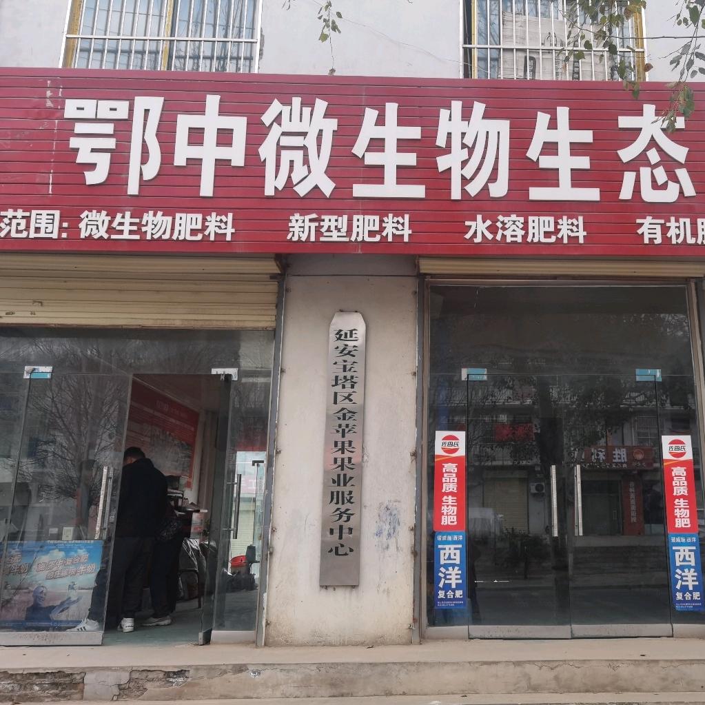 临镇金苹果助农王峰