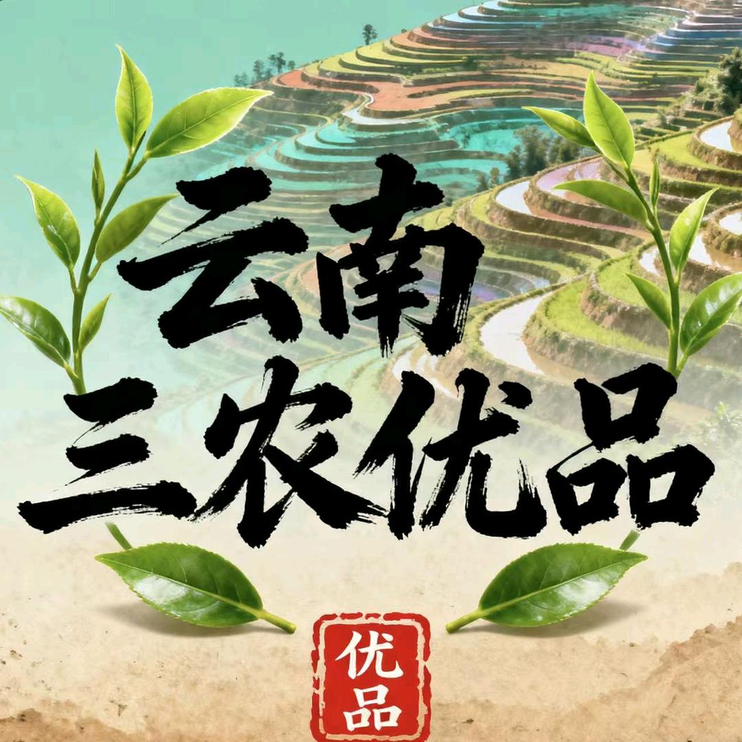 云南贡菜优品