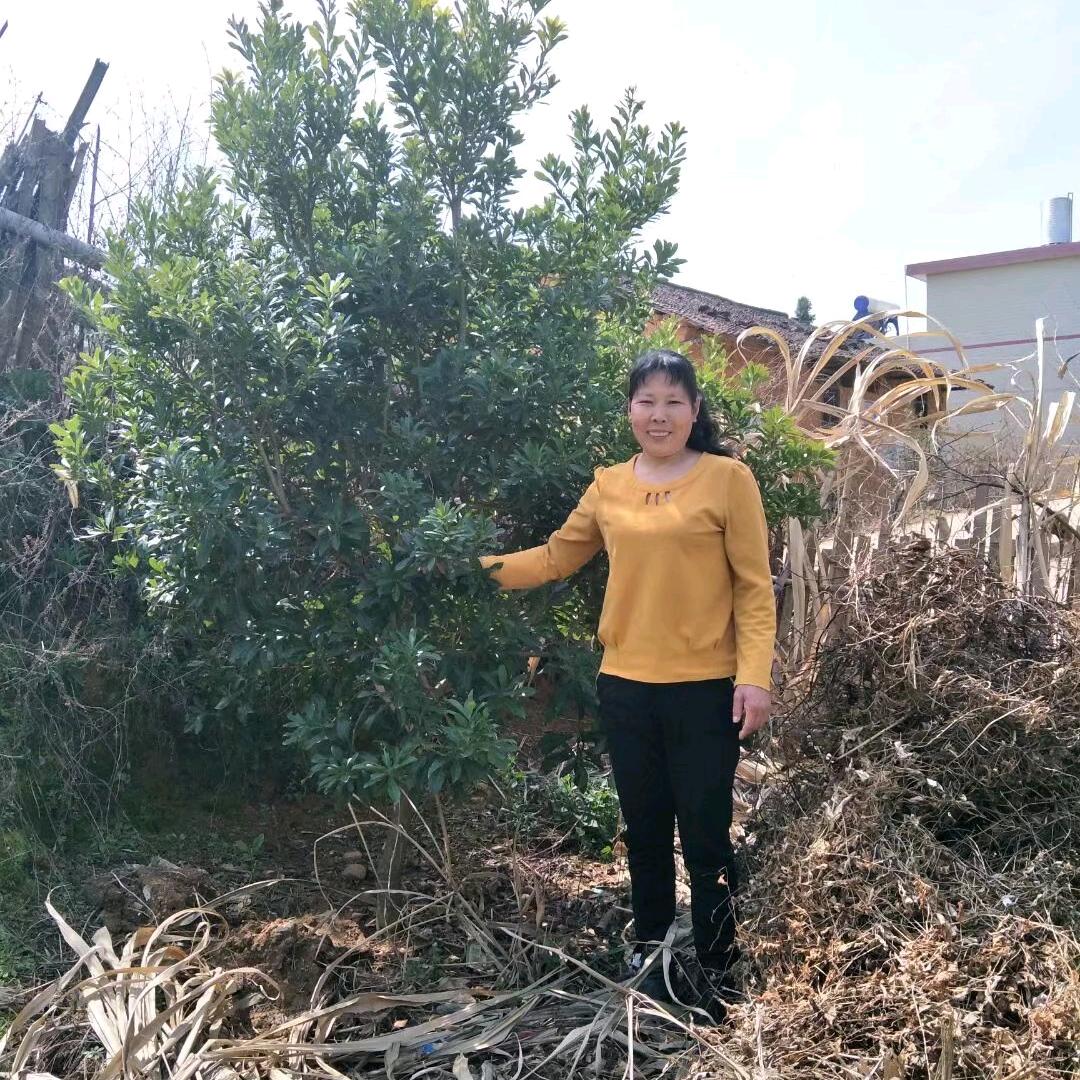 彩香姐