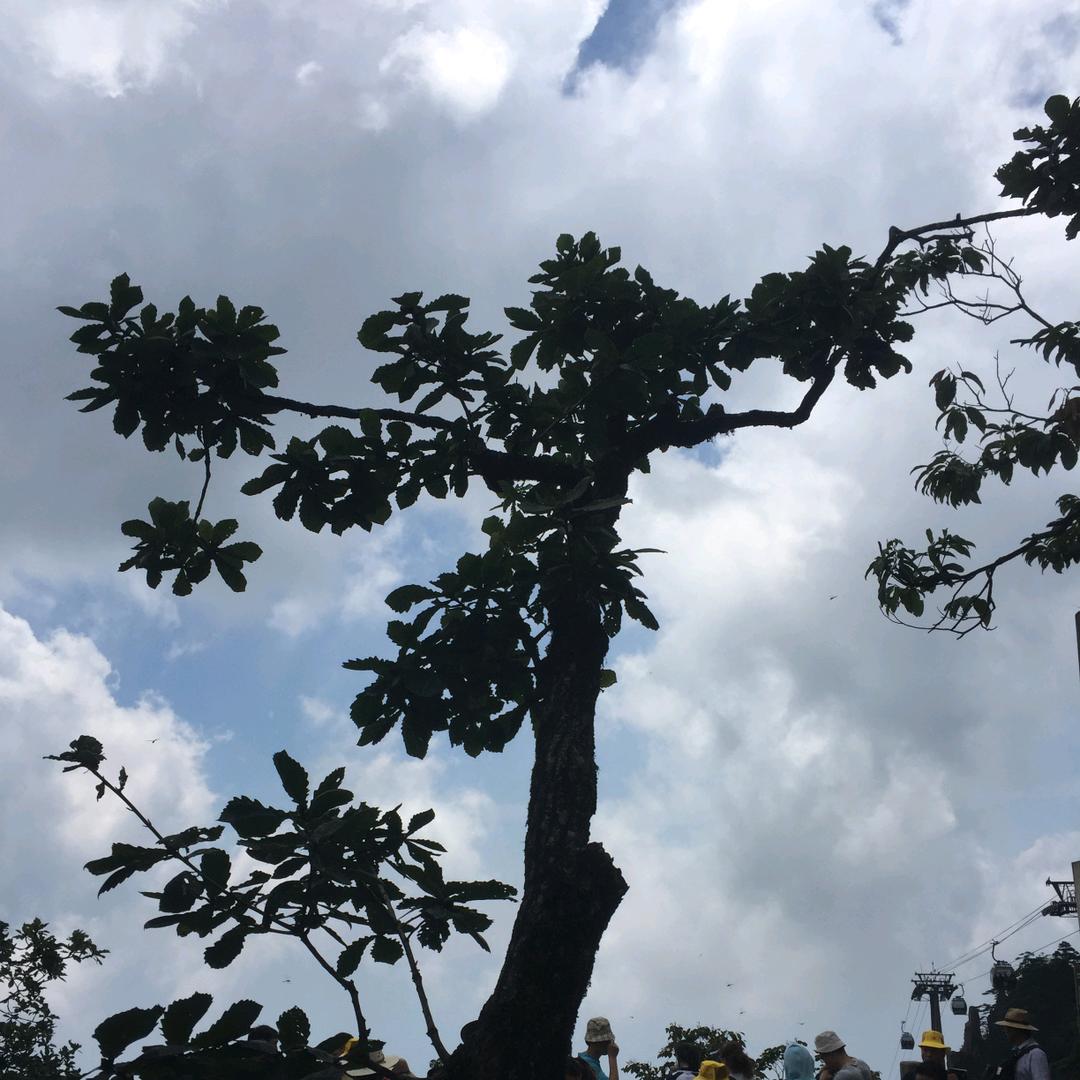 就不挪