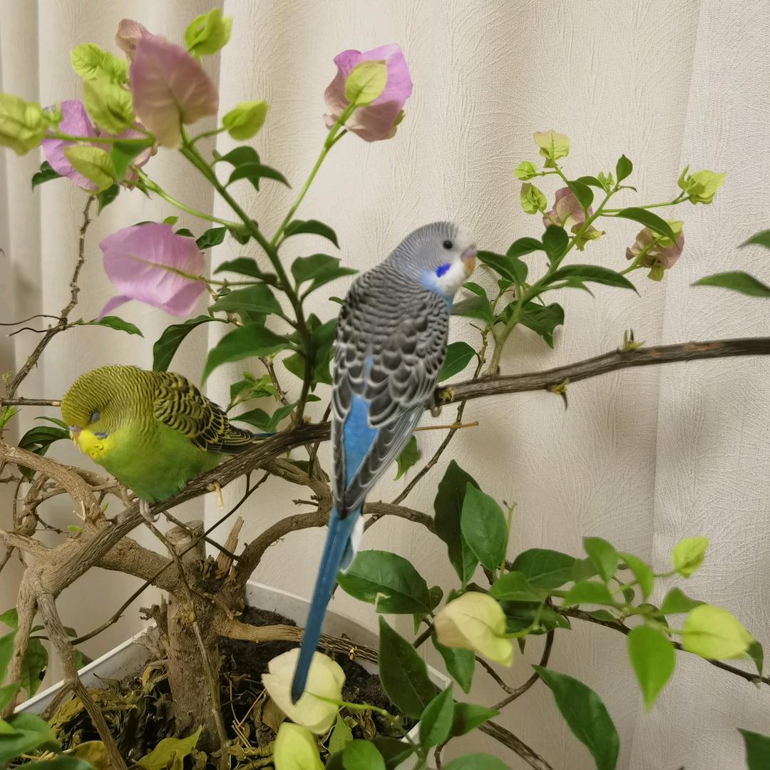 涛声依旧⁵⁷⁶