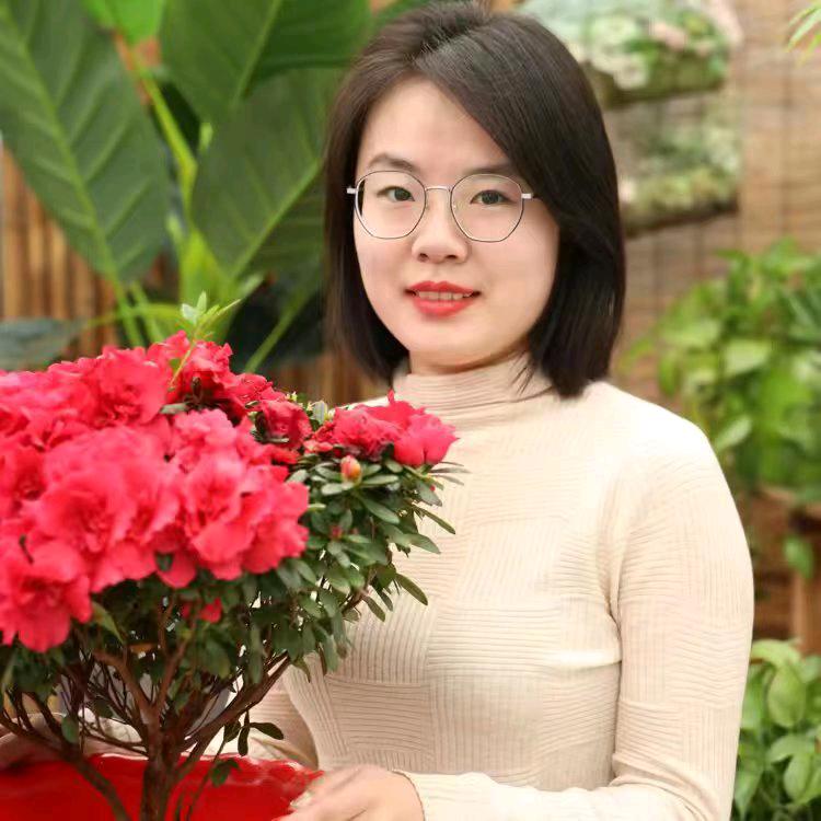 花卉小管家