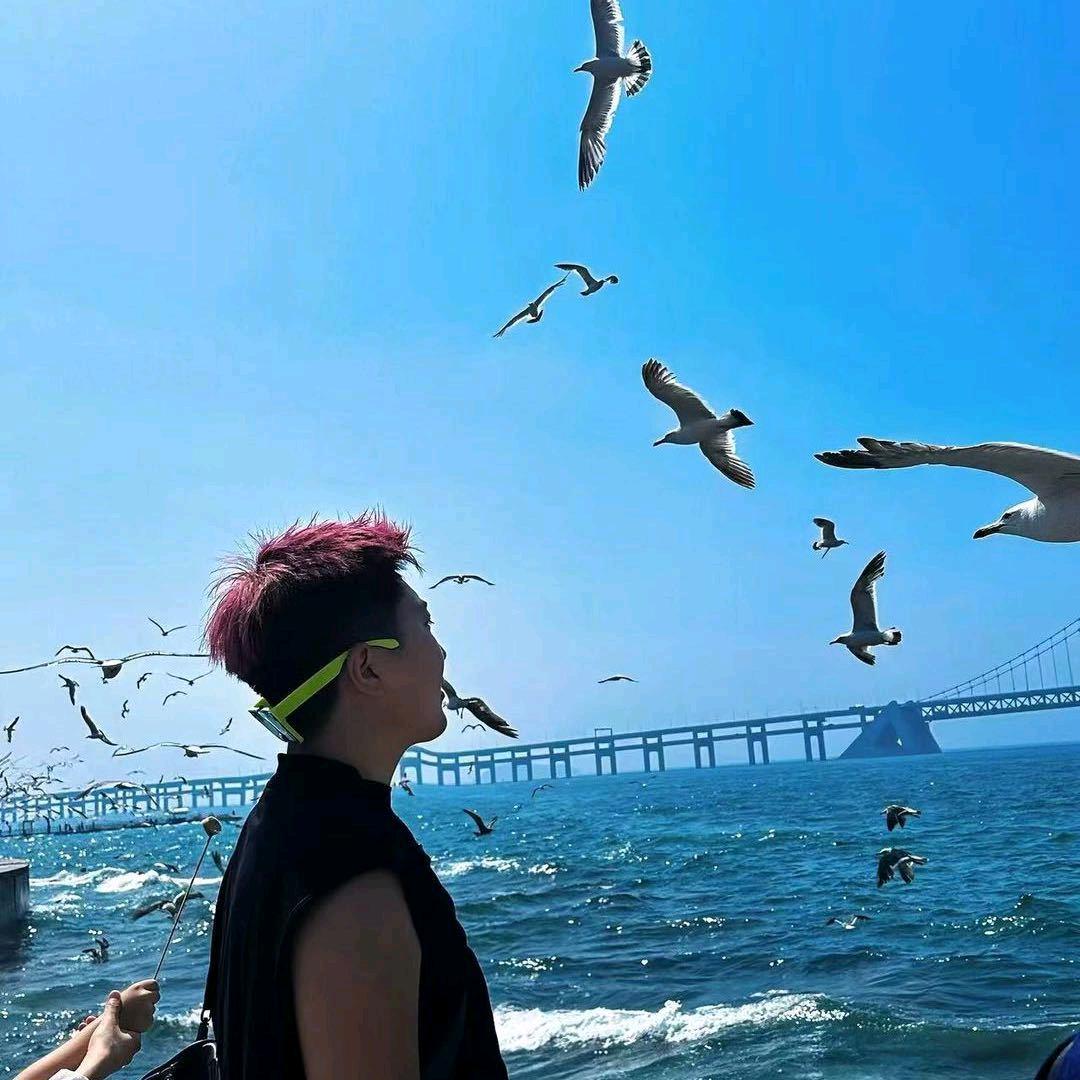 不会翻车的小帅