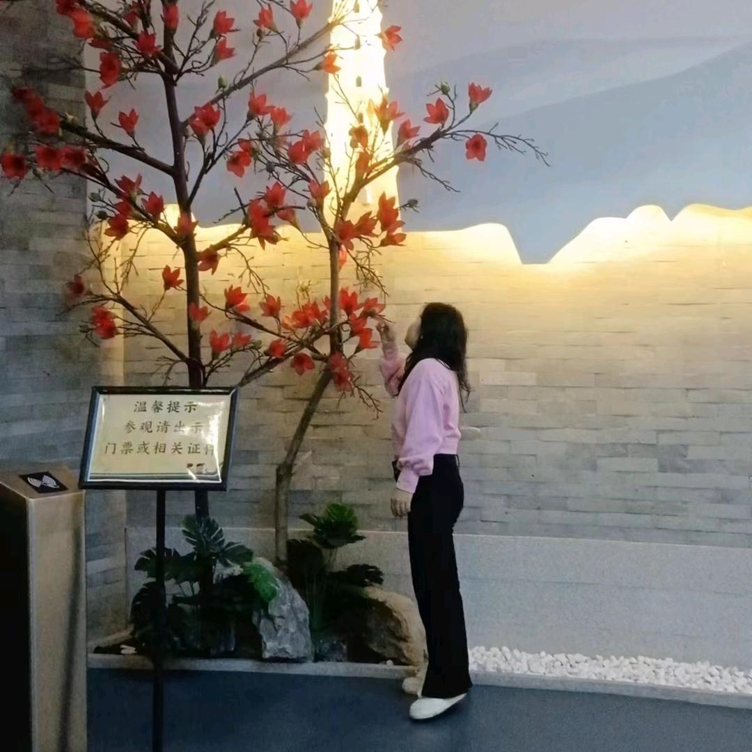🤝龚赢♥♥