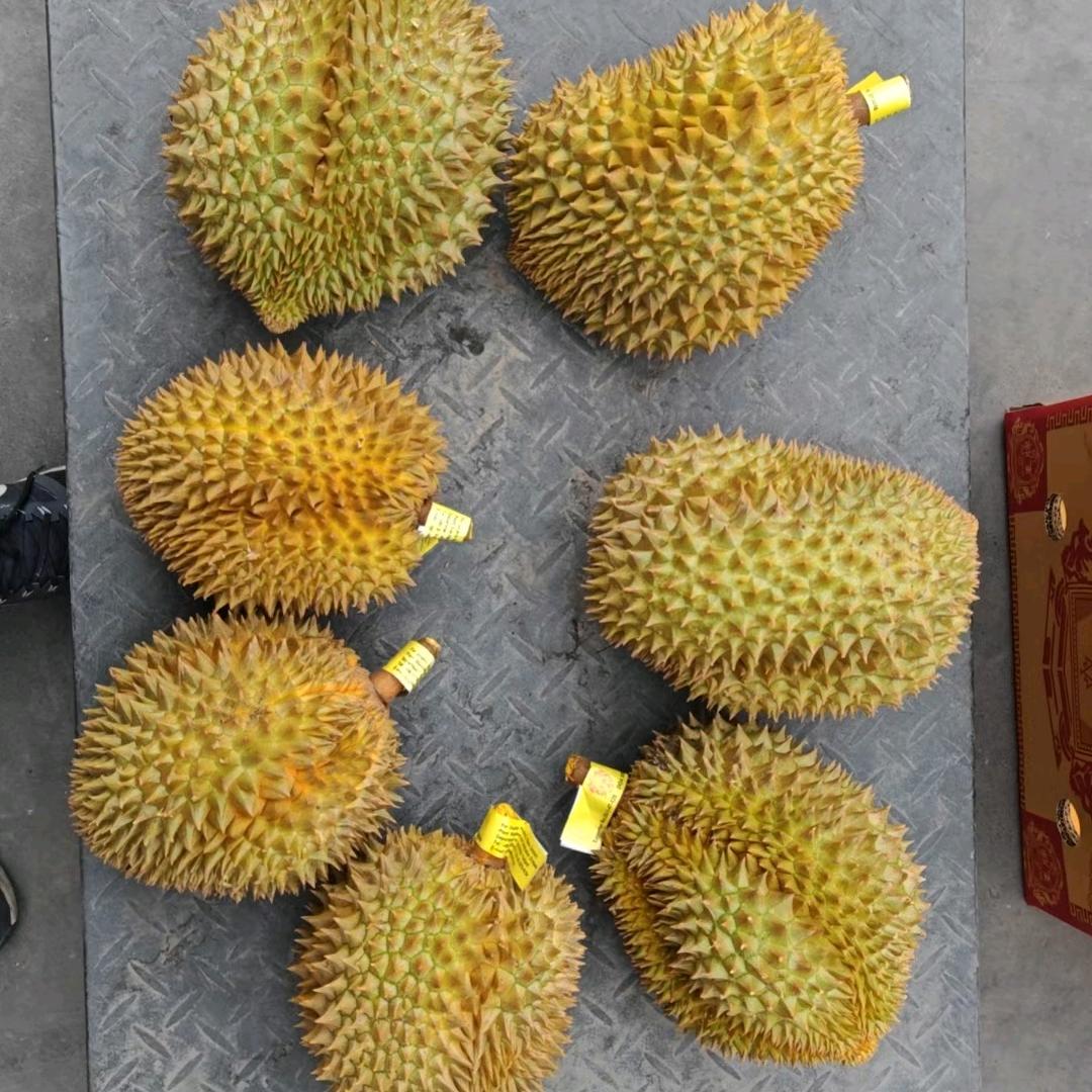 果家鲜果