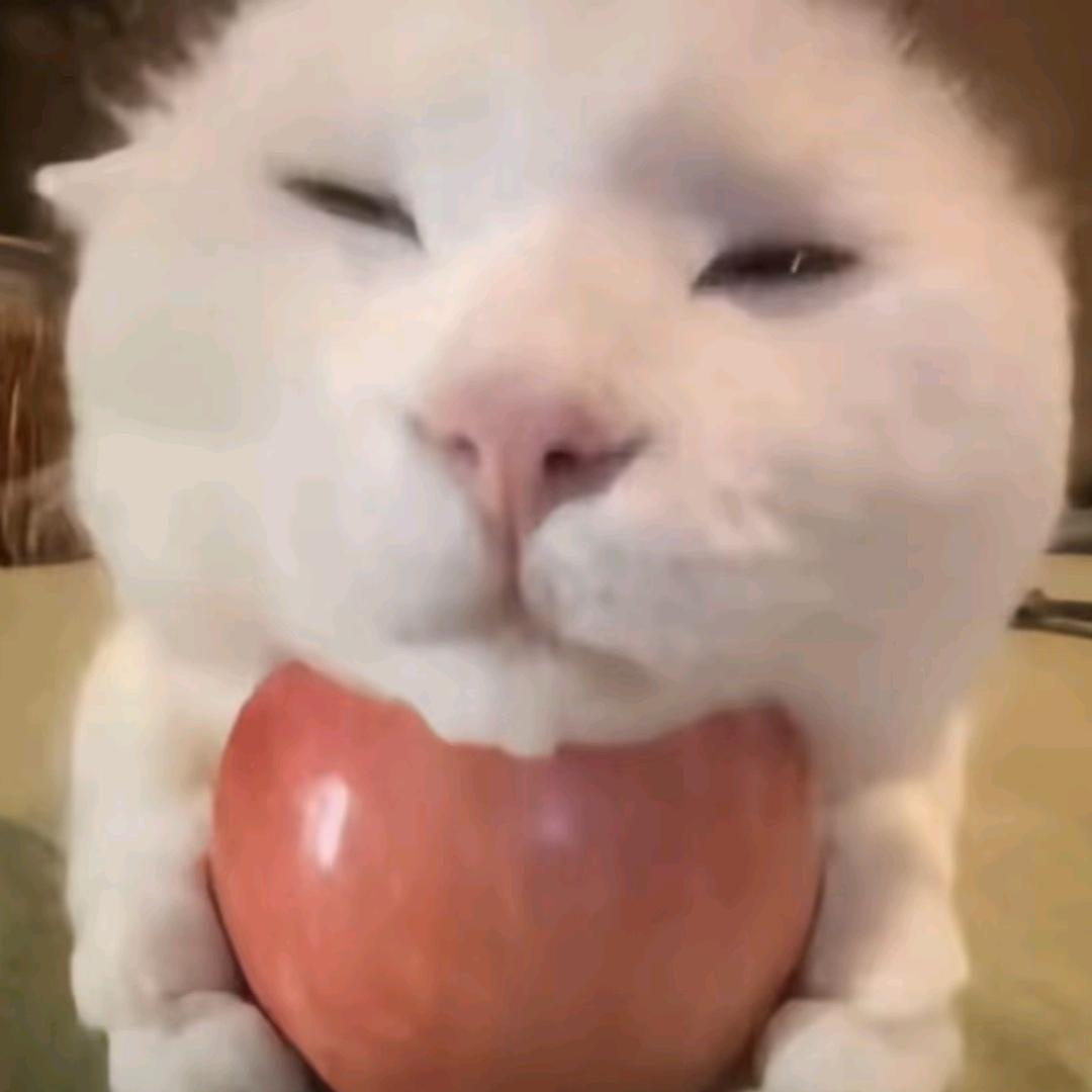 菠萝堡（重生版）