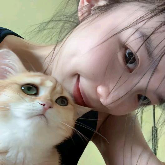 二十八