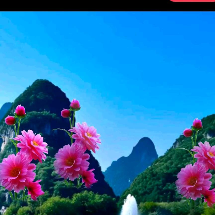 走向未来