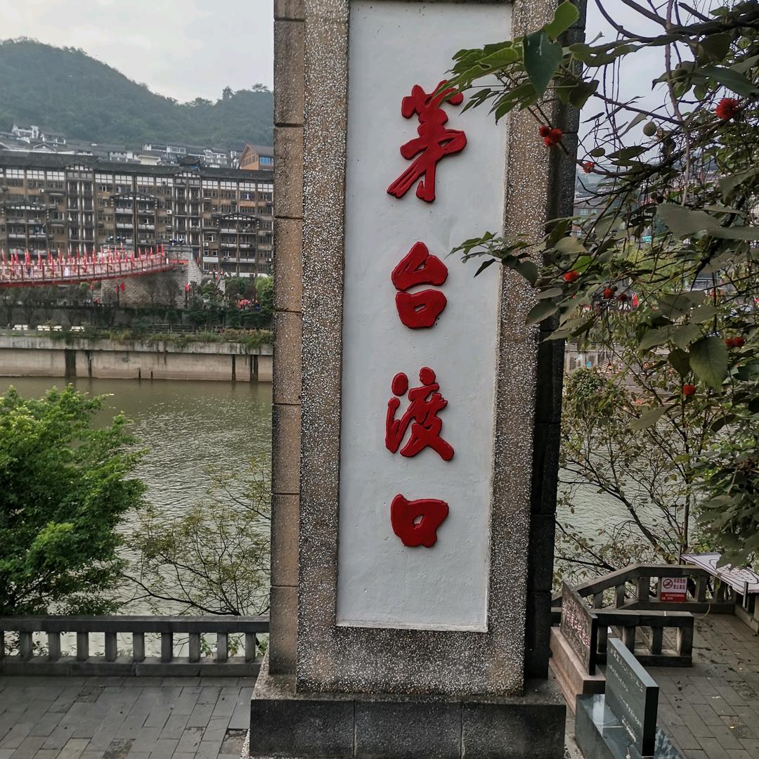 草莓影视