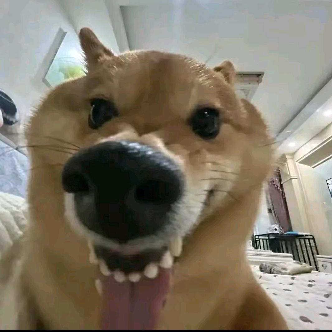 奥利奥麦旋风