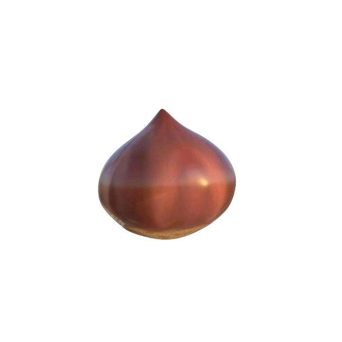 大板栗