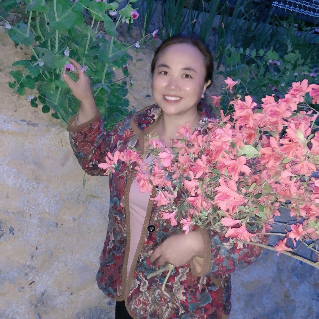 蓝蓝鱼