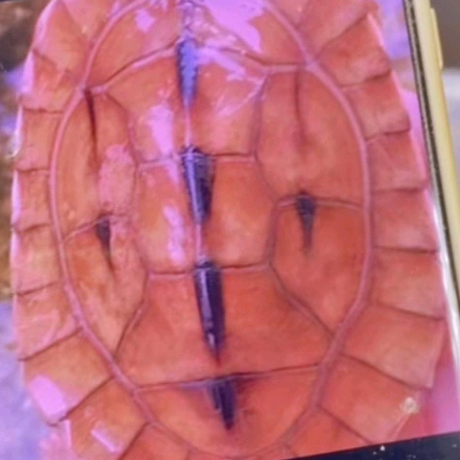 在心里永远有个你