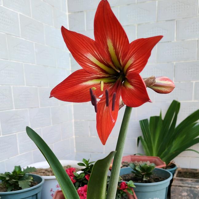 🍒热爱生活的小趴菜🍒