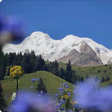 我在南京啦啦啦