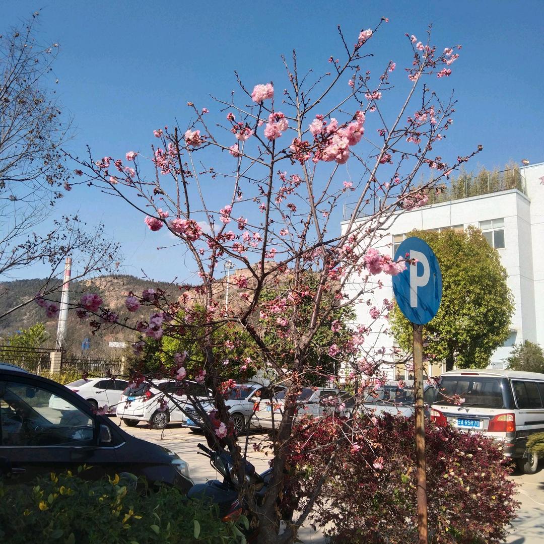 月是故乡明