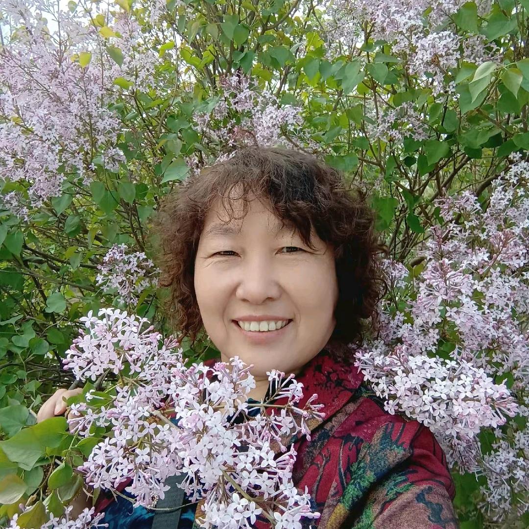 长寿菊