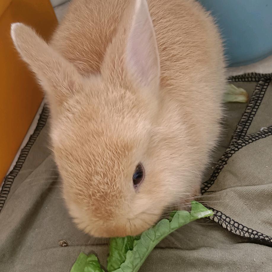 时光🌿安然🌻