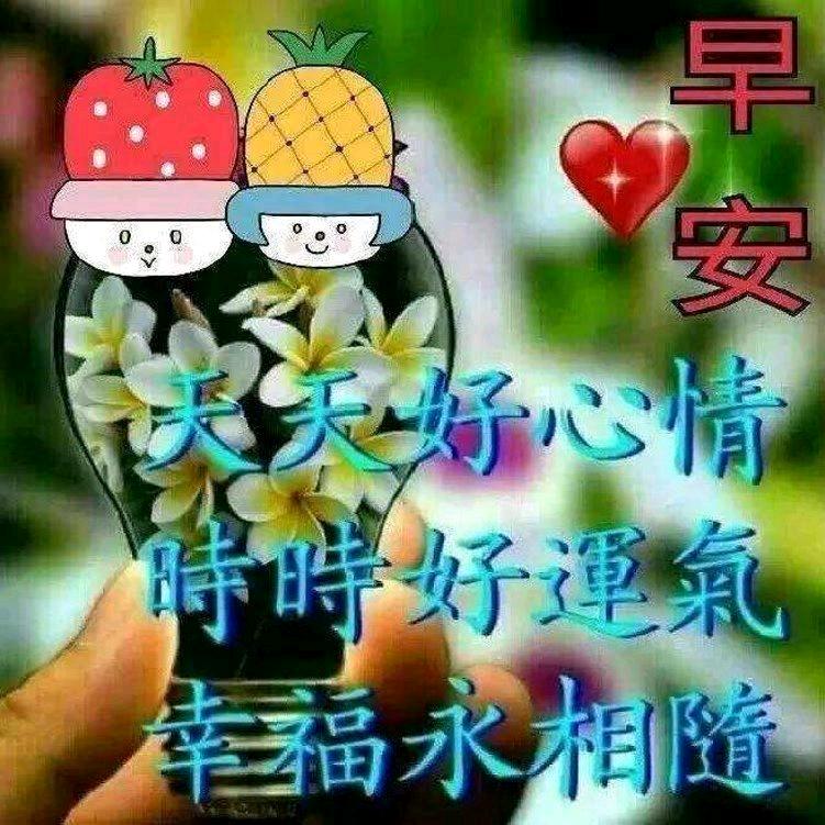 用户名25526131头像