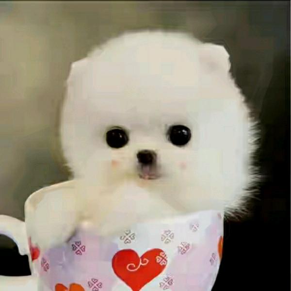 昌南餐饮具工厂店