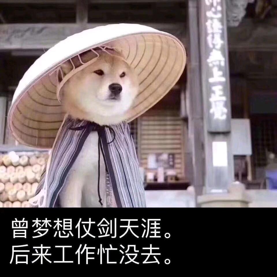 凤来影视