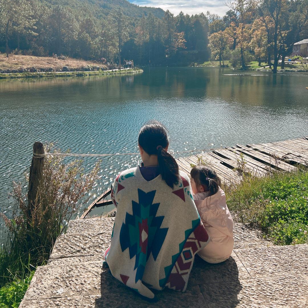 花开富贵🌷🌷