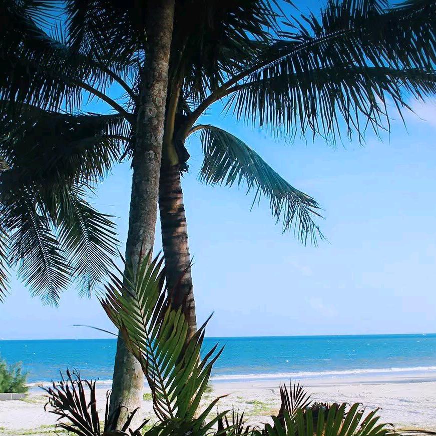 A-观澜湾海景酒店置业