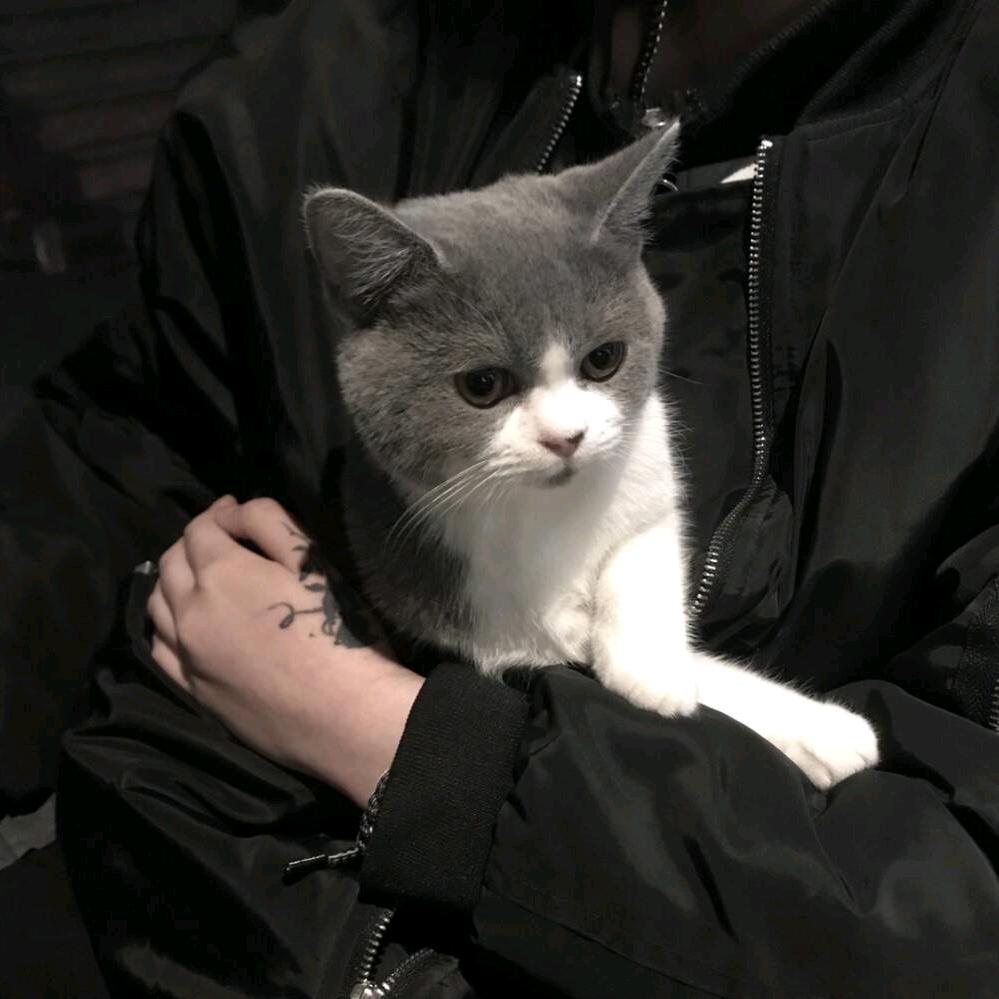 重启系统