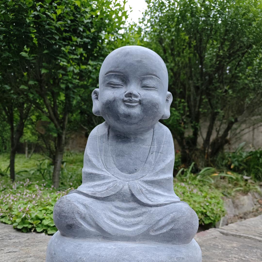 我看到有一条鱼在仰泳