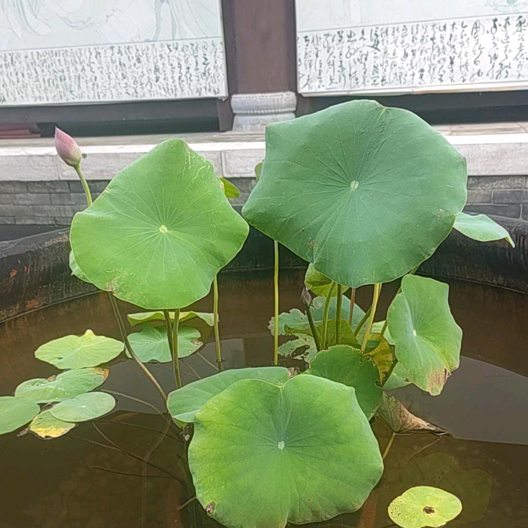 好心情蓝天🌞🌙